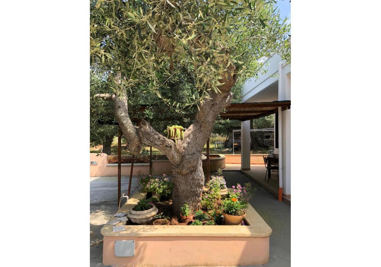 Casa La Manna By A&B Homes Leuca Santa Maria di Leuca المظهر الخارجي الصورة